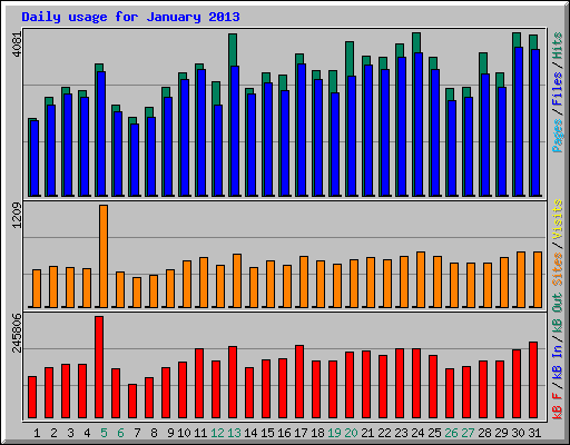 Daily usage for January 2013