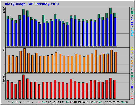 Daily usage for February 2013