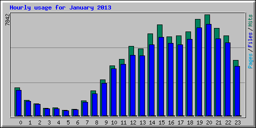 Hourly usage for January 2013